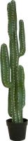Europalms Mexican cactus, artificial plant, green, 123cm