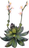Kunstige planter, Europalms Houseleeks (EVA), artificial, pink, 32cm