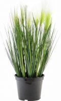 Europalms Feather grass, artificial, white, 60cm