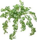 Kunstige planter, Europalms Nephthytis bush, artificial, 50cm