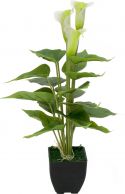 Kunstige planter, Europalms Mini Calla, artificial plant, white, 43cm