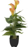Decor & Decorations, Europalms Mini Calla, artificial plant, yellow-orange, 43cm