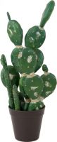 Udsmykning & Dekorationer, Europalms Mixed cactuses, artificial plant, green, 54cm