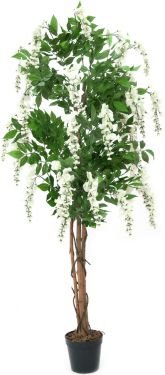 Europalms Wisteria, artificial plant, white, 150cm