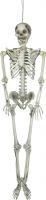 Udsmykning & Dekorationer, Europalms Halloween Skeleton, 150 cm