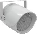 100 Volt Systemer, Omnitronic PS-30S Projector Speaker