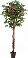 Europalms Camelia red cemented, artificial plant, 180cm