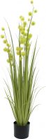 Udsmykning & Dekorationer, Europalms Allium Grass, artificial, 122cm