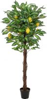 Europalms Lemon tree, artificial plant, 150cm