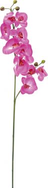 Europalms Orchid branch, artificial, purple, 100cm