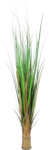 Europalms Fox grass, artificial, 150cm