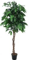 Decor & Decorations, Europalms Jungle tree Mango, artificial plant, 180cm