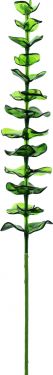 Europalms Crystal eucalyptus, artificial plant, green 81cm 12x