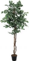 Kunstige planter, Europalms Variegated Ficus, artificial plant, 180cm
