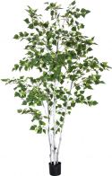 Kunstige planter, Europalms Birch Tree, artificial plant, 210cm