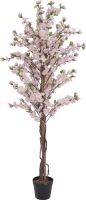 Udsmykning & Dekorationer, Europalms Cherry tree with 4 trunks, pink, 150 cm