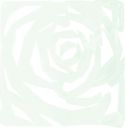Udsmykning & Dekorationer, Europalms Room Divider Rose clear 4x