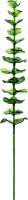 Artificial flowers, Europalms Crystal eucalyptus, artificial plant, green 81cm 12x