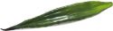 Udsmykning & Dekorationer, Europalms Aloe leaf (EVA), artificial, green, 60cm