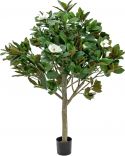 Udsmykning & Dekorationer, Europalms Magnolia tree, artificial plant, 150cm