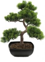 Europalms Pine bonsai, artificial plant, 50cm