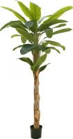 Udsmykning & Dekorationer, Europalms Banana tree, artificial plant, 210cm