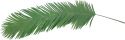 Kunstige planter, Europalms Coconut king palm branch, artificial, 180cm