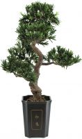 Udsmykning & Dekorationer, Europalms Bonsai podocarpus, artificial plant, 80cm