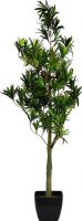 Artificial plants, Europalms Podocarpus tree, artificial plant, 90cm
