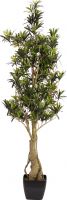 Europalms Podocarpus tree, artificial plant, 115cm