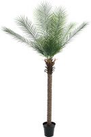 Europalms Phoenix palm deluxe, artificial plant, 220cm