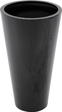 Europalms LEICHTSIN ELEGANCE-69, shiny-black