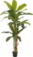 Decor & Decorations, Europalms Banana tree, artificial plant, 240cm