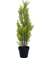 Udsmykning & Dekorationer, Europalms Cypress, Leyland, artificial plant, 60cm