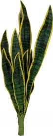 Europalms Snake Tongue (EVA), artificial, green-yellow, 60cm