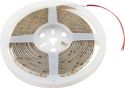 Diverse, Eurolite LED IP Strip 600 5m 2835 4000K 24V