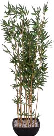 Europalms Bamboo in bowl, artificial, 150cm Europalms Bamboo in bowl, artificial, 150cm