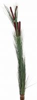 Europalms Reed grass with cattails,dark-green, artificial, 152cm