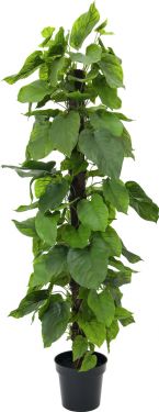 Europalms Pothos plant, artificial, 180cm