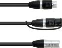 Sortiment, Eurolite Adapter Cable DMX IP XLR 3pol(m)/2xIP XLR 3pol(f)