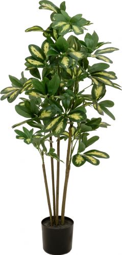 Europalms Schefflera, artificial, 90cm