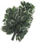 Decor & Decorations, Europalms Ficus spray, artificial, 12x