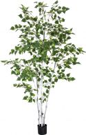 Decor & Decorations, Europalms Birch Tree, artificial plant, 210cm