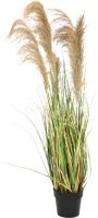 Decor & Decorations, Europalms Chinese silvergrass, artificial, 140cm