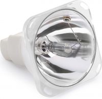 Bulb MSD230 TIGER E 7R