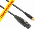 XLR - Phono, CX138 Cable converter XLR Female - RCA Female