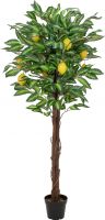 Artificial plants, Europalms Lemon tree, artificial plant, 150cm