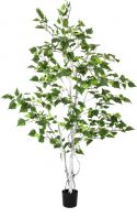 Decor & Decorations, Europalms Birch Tree, artificial plant, 150cm