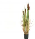 Udsmykning & Dekorationer, Europalms Bulrush, artificial plant, 150cm