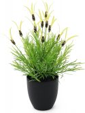 Kunstige planter, Europalms Feather lettuce, artificial, 40cm